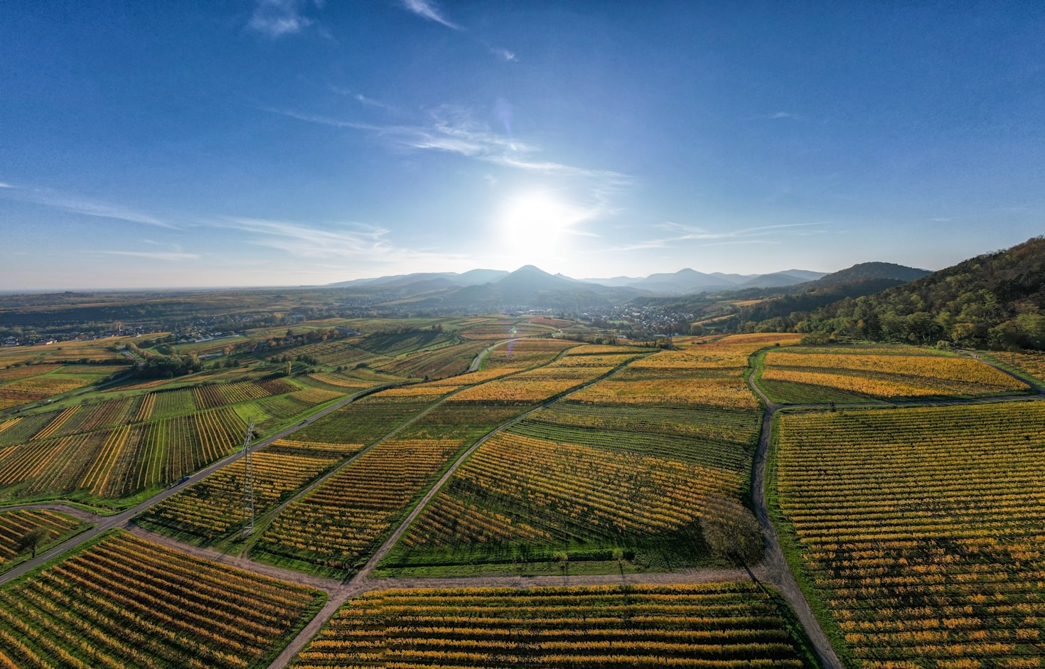 Os Benefícios da Recuperação Tributária para Empresas